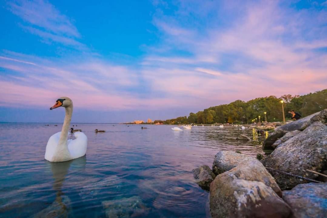 Balaton Wellness Apartman Siofok Exterior photo