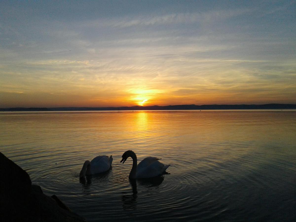 Balaton Wellness Apartman Siofok Exterior photo