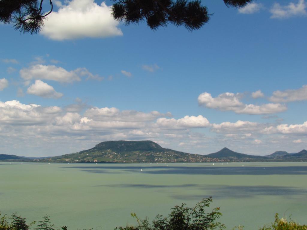Balaton Wellness Apartman Siofok Room photo